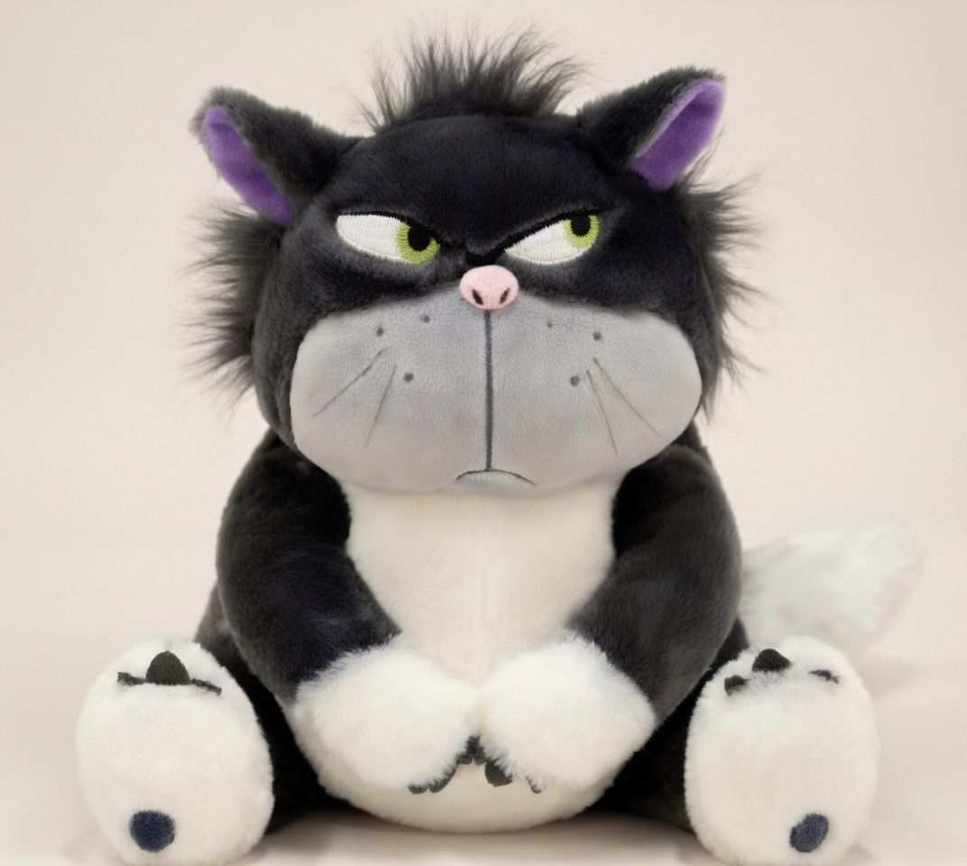 Angry Cat Plush Toy