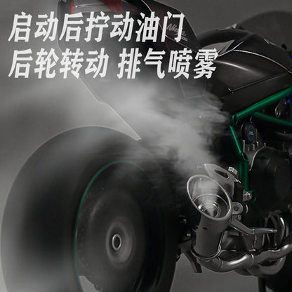 1:6 Diecast Kawasaki Ninja H2R Bootable Spray Bike - image 13