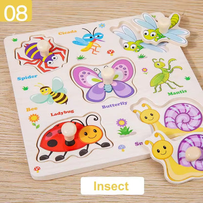 Wooden 5-Shape Sorting Knob Board